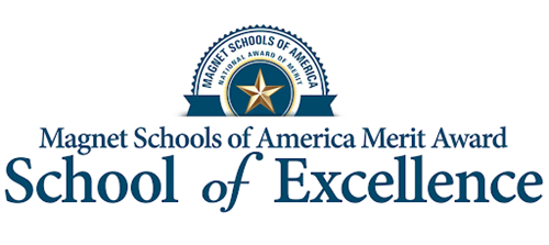 MSA Excellence 